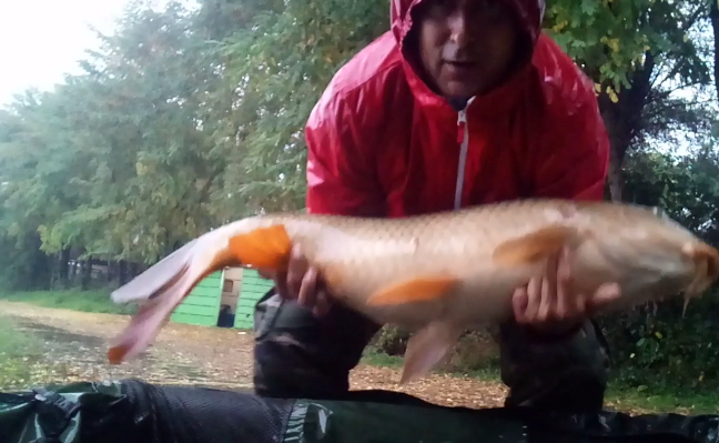 ISOLA DEL PESCATORE 28 - 29 octombrie 2018 - screenshot2018-10-29-08-48-16.png